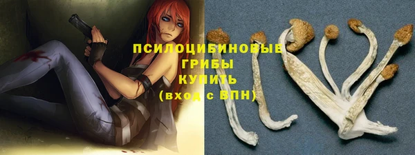 стафф Арсеньев