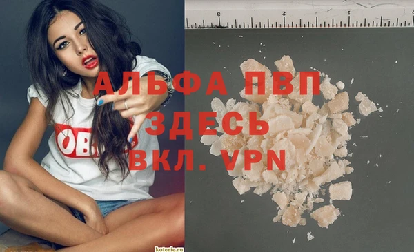 стафф Арсеньев